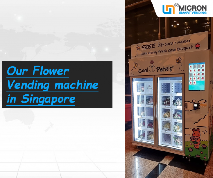 Großes umweltfreundliches Extrakühlmittel des Blumenstrauß-frisches Blumen-Automaten-R290