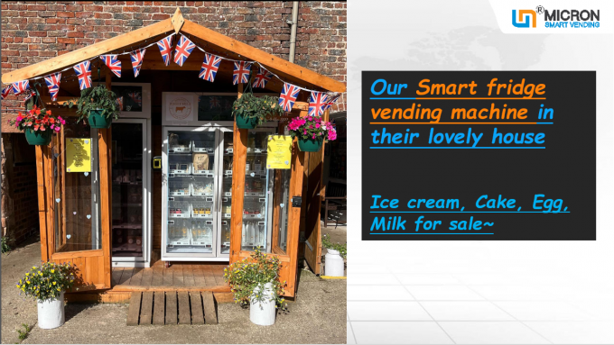 Kühlsystem des Eiscreme-Automatengefrierschranks mit Touch Screen Kartenleser in Großbritannien