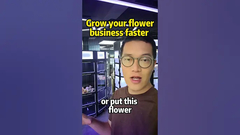 Hey Blumenladen Besitzer wir haben eine Lösung, um Ihr Blumengeschäft zu steigern, frische Blumen Automaten