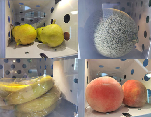 CER Schließfach-Frucht-Automaten-Blumen-Mikrometer-intelligenter Automat mit Kühlsystem