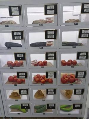Maßgeschneiderte 22-Zoll-Touchscreen-Eierverkaufsautomat mit Kartenleser für frische landwirtschaftliche Produkte