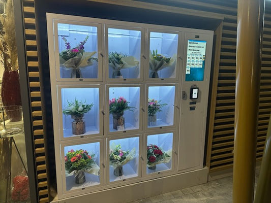 24/7 Selbstbedienung Kühlschrank für frische Blumen Topfpflanzen Cholocate Verkaufsautomat