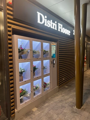 24/7 Selbstbedienung Kühlschrank für frische Blumen Topfpflanzen Cholocate Verkaufsautomat
