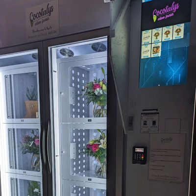 24/7 Selbstbedienung Kühlschrank für frische Blumen Topfpflanzen Cholocate Verkaufsautomat