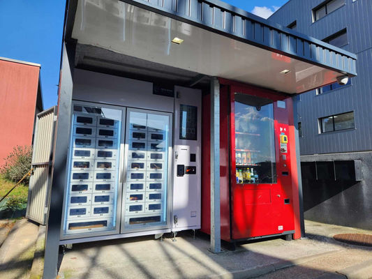 Bequeme Pie-Locker-Vending-Maschine mit 42 Schließfächern und R290-Grüngaskompressor