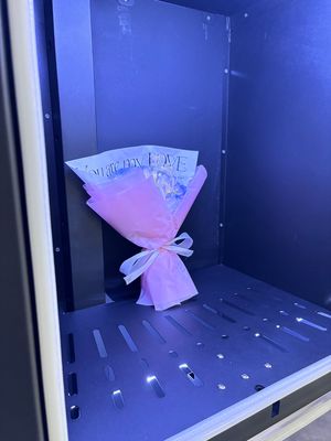 Neues Design Schließfach Frische Blumen Verkaufsautomat mit Kühlfunktion 32 Zoll Touchscreen Lichtschrank für das Branding