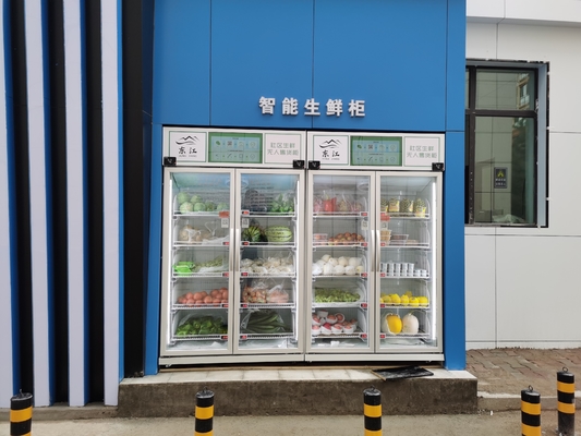 Regale der Gewichts-Richtungs-automatische Automaten-doppelten Tür-4, Automat für Gemeinschaft, frische Nahrungsmittelverkauf, Mikrometer