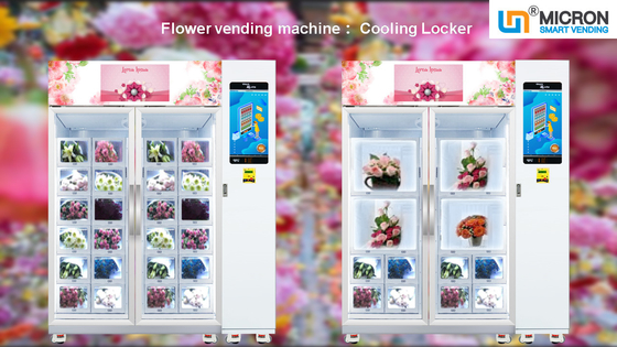 Max. 69 Blumen-Automat ferngesteuert mit Kühlanlage