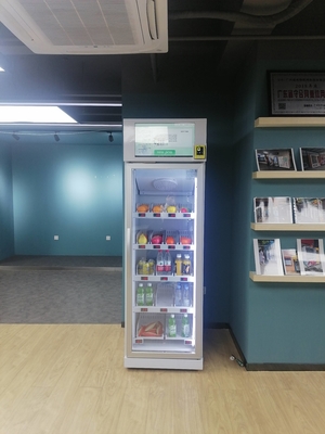 geht intelligentes Automaten-Tiefkühlkost-Zupacken N des Kühlschrank-110V Kühlschrank
