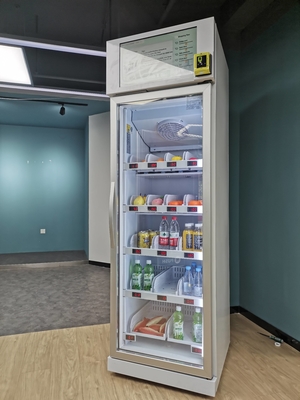 geht intelligentes Automaten-Tiefkühlkost-Zupacken N des Kühlschrank-110V Kühlschrank