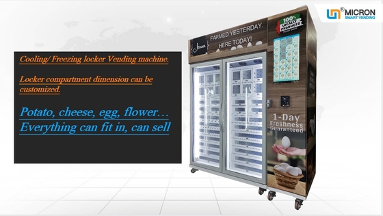 Austern-Automat mit Kühlsystem und elektrischen Heizungsder entnebelung der Schließfach-24V
