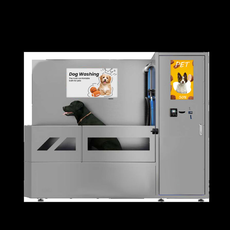 Mehrzweck-Hundewaschmaschine mit Blechmetall und Hoch- / Niedriggeschwindigkeits-Trockneroptionen