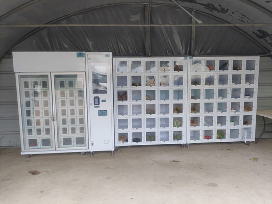 Automaten für eigene Grafiken für landwirtschaftliche Produkte Eier zur Hand