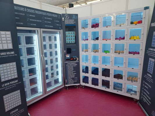 21.5 Zoll Touchscreen Schließfach Automaten mit benutzerdefinierten Grafiken und Kühlsystem Bereich -22-20C